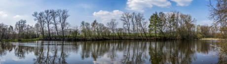 Bohuslavický rybník V 9-4-2019