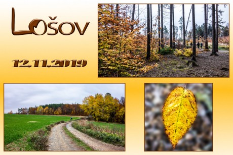 Lošov_12-11-2019