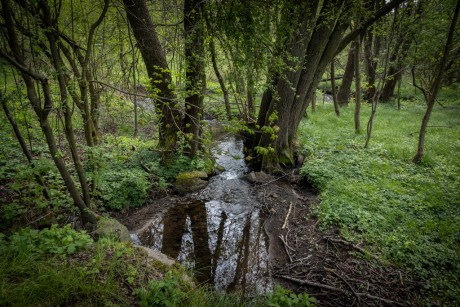 Říčka-Hloučela-u-Lipové