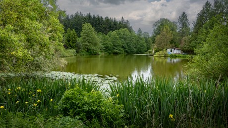 Rybník-u-točny