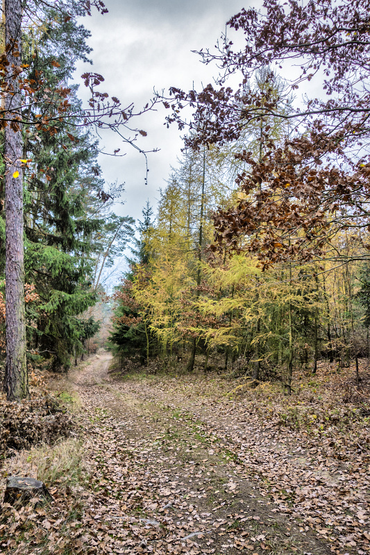 Barvy podzimu_20-11-2018