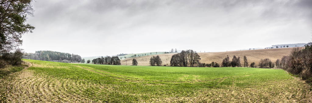 Podzimní krajina za Křenůvkami_20-11-2018