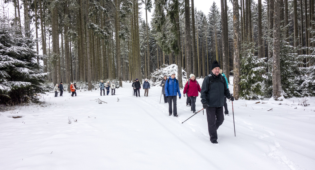 Pokračujeme v pohádkové přírodě 8-1-2019