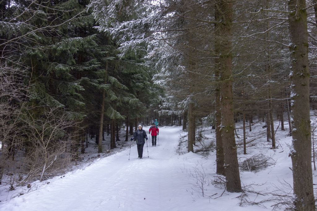 Cestou do Šubířova b 15-1-2019.TIF