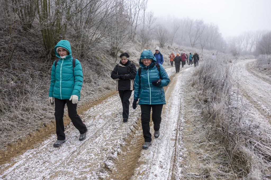 Podél Přeslovského potoka a 22-1-2019