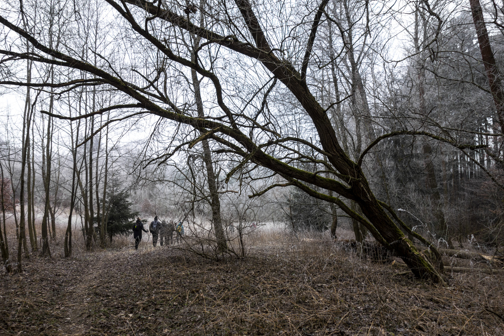 Podél Přemyslovského potoka e 22-1-2019