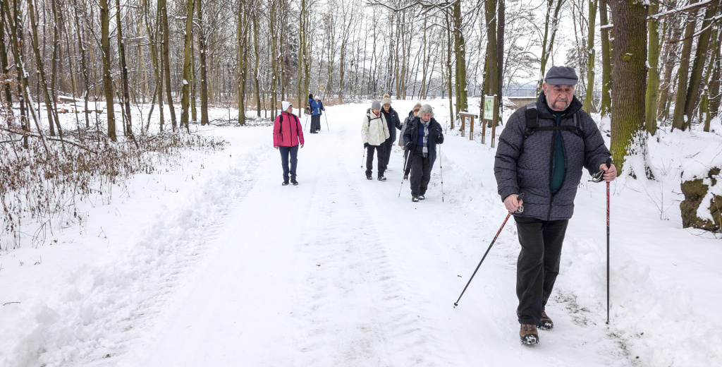 Cestou v Přední Daliboři 29-1-2019