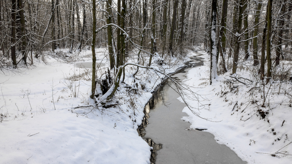 Skoro zamrzlá Cholinka 29-1-2019