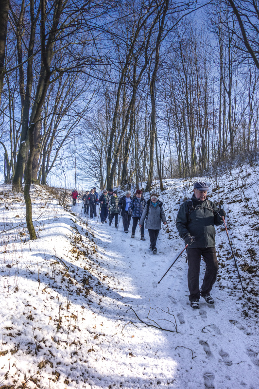 Cestou do Skalky d 5-2-2019