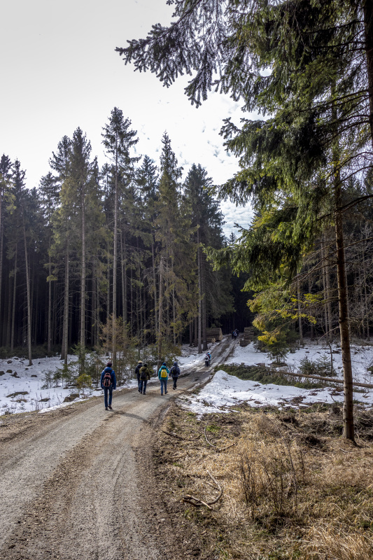 Cestou od Bukové 2 26-2-2019