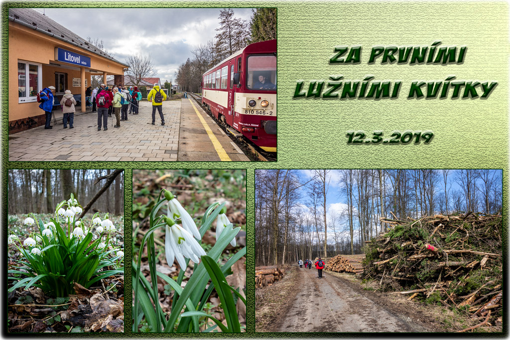 Za-prvními-lužnými-kvítky-12-3-2019