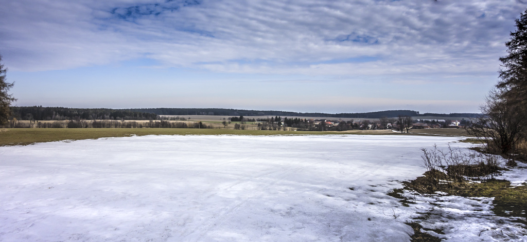 buková 26-2-2019