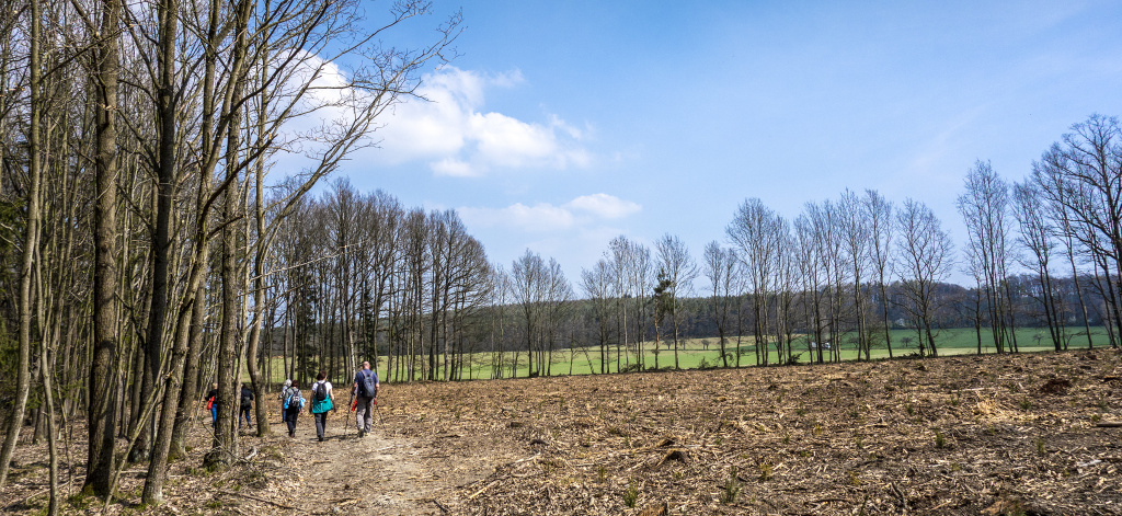 cestou do Laké - kdysi lesem 9-4-2019