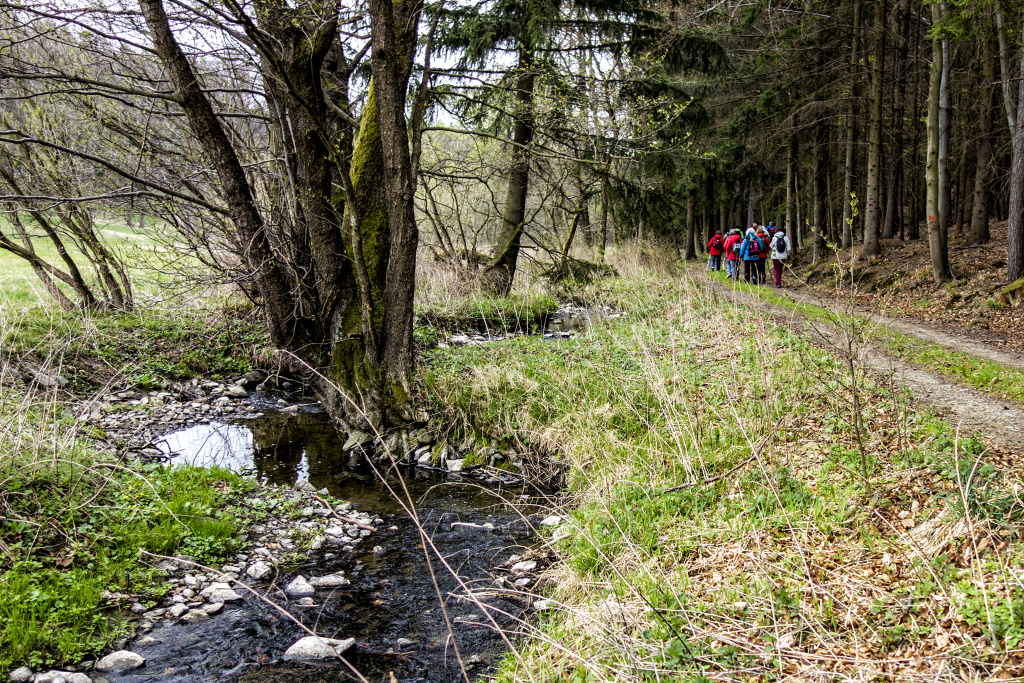 přítok Zábrany 23-4-2019