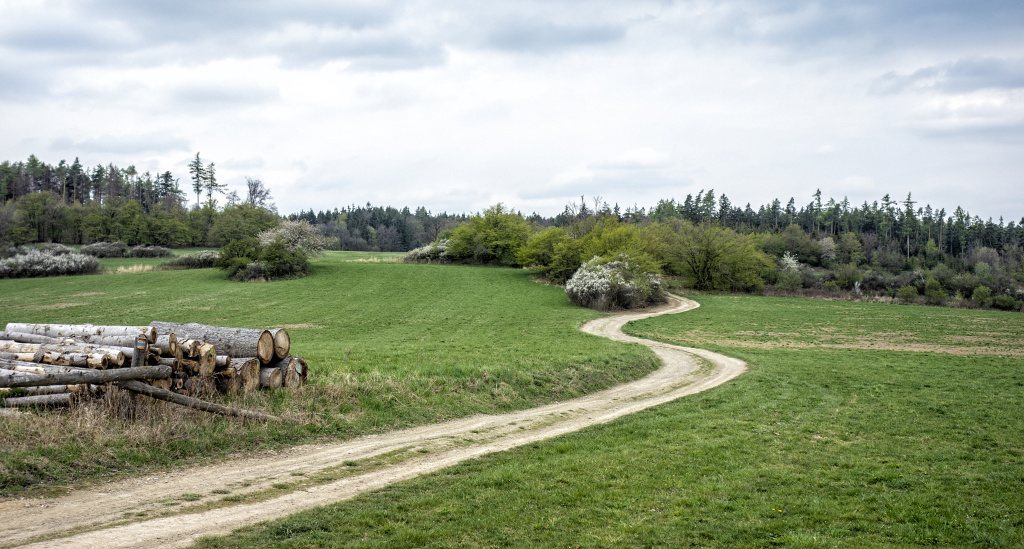 po NS ke keltskému oppidu 23-4-2019