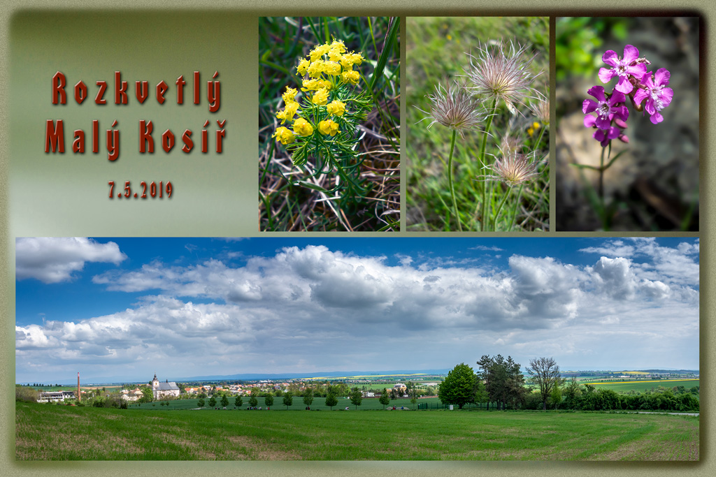 rozkvetlý Malý Kosíř 7-5-2019