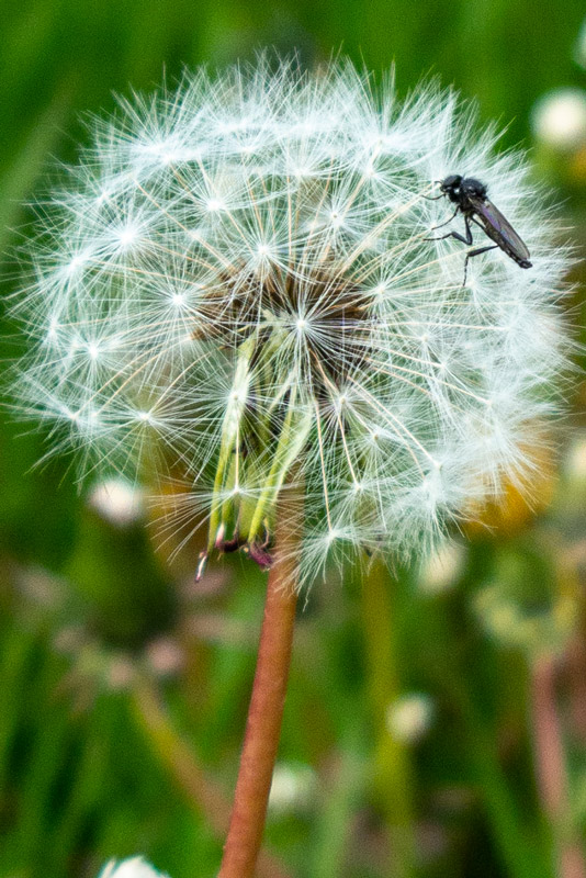 asi-se-jen-vyhřívá-21-5-2019