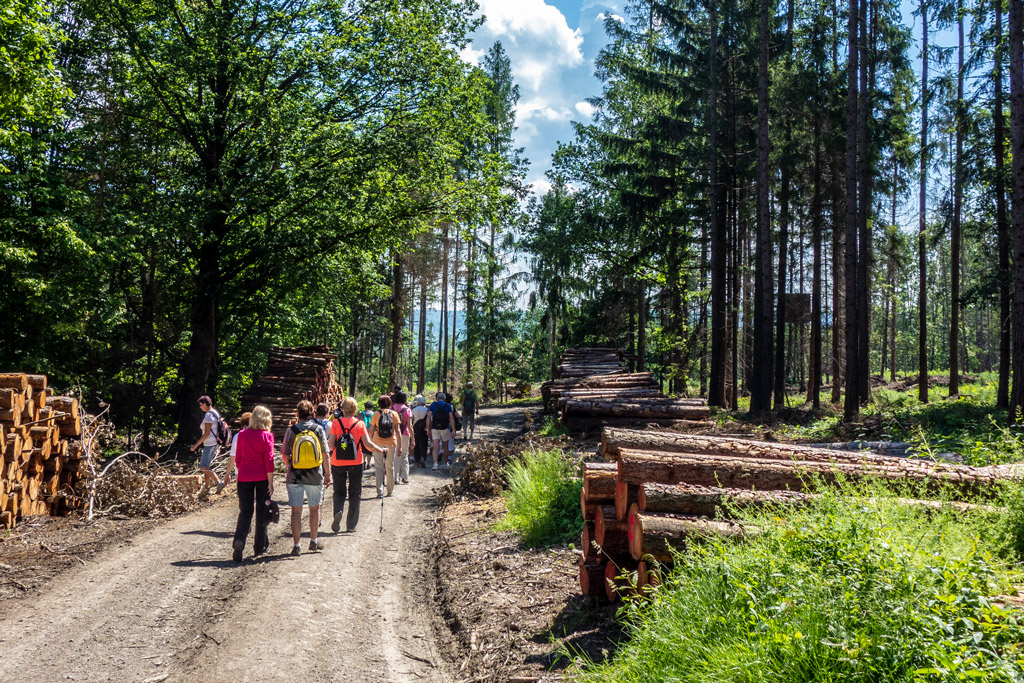 cestou-do-Hluboček-a_4-6-2019