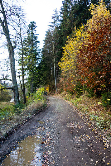 Holstejn_cesta_7-11-2017