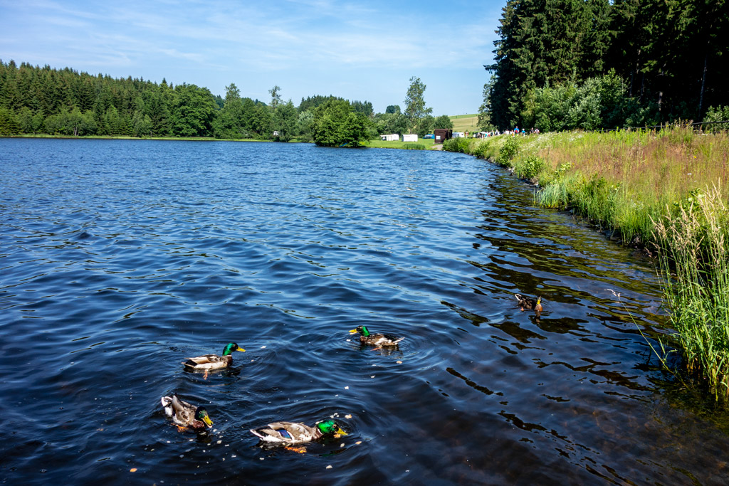 kačky-a-kačeři_26-6-2019