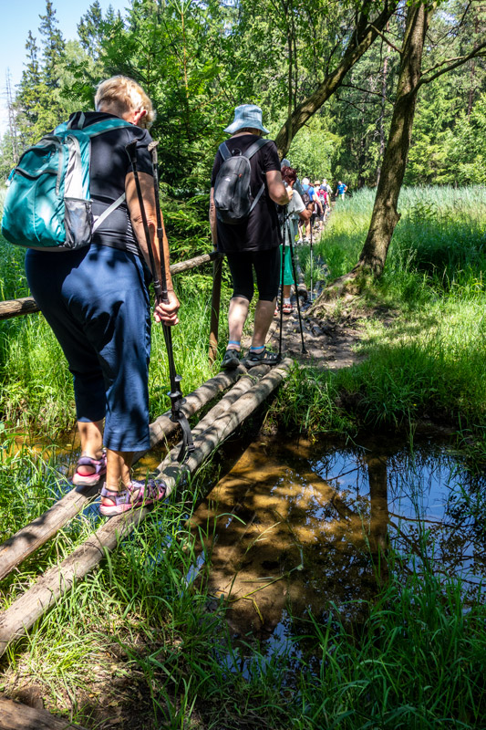 trochu-překážek_26-6-2019