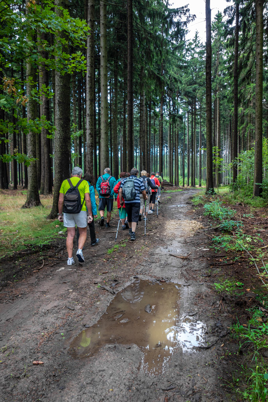 konečně-je-v-lese-vlhko_13-8-2019