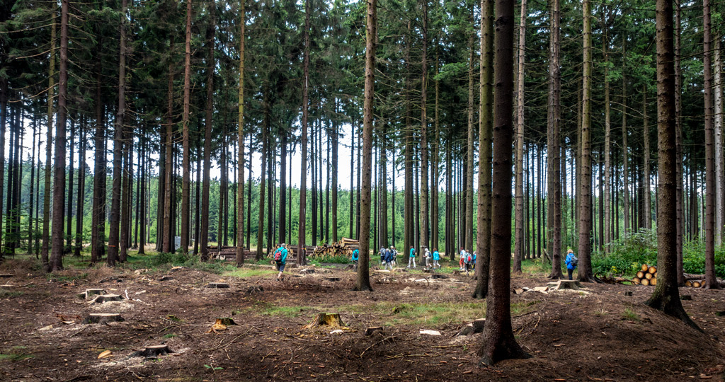 turistika-nebo-houbaření_13-9-2019