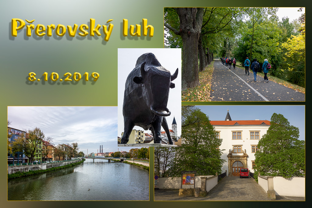 Přerovský-luh_8-10-2019