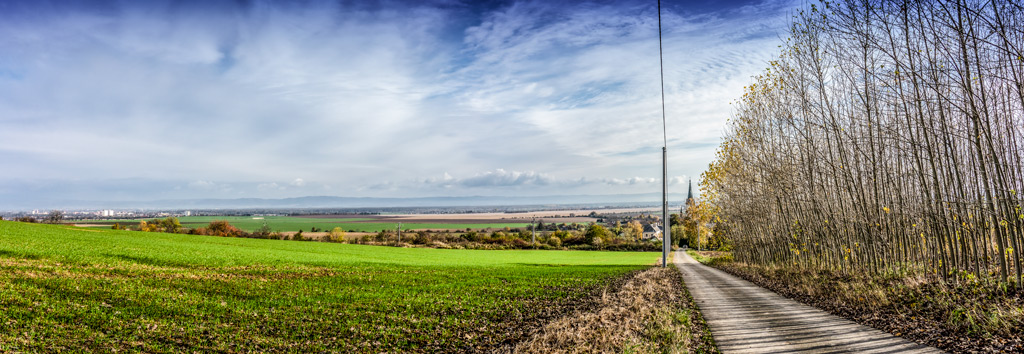 výhled-směrem-Jeseníky