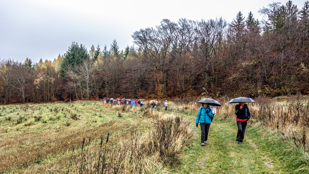 had-turistů-se-blíží-k-Protivanovu