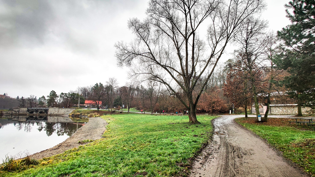 kolem-Podhradskýho-rybníka