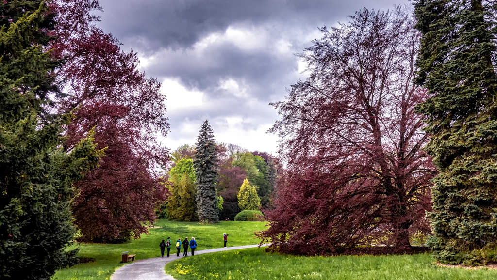 v-zámecké-zahradě-30-4-2019-a