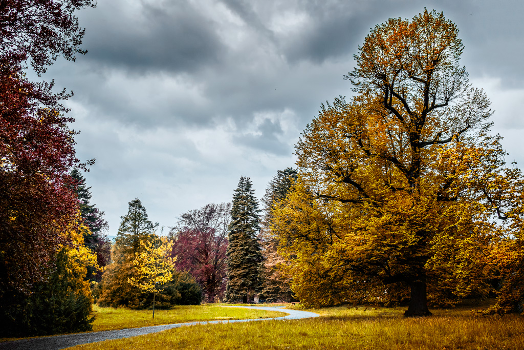 v-zámecké-zahradě-30-4-2019-b