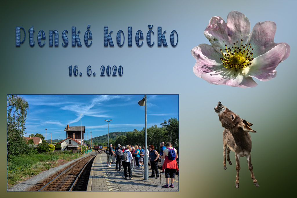 Ptenské-kolečko-16.6