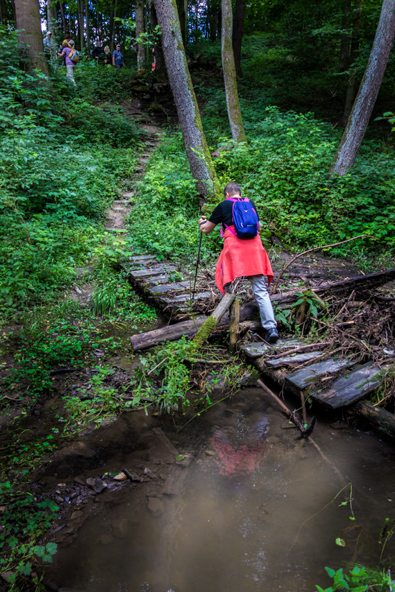 cestička-ke-studánce