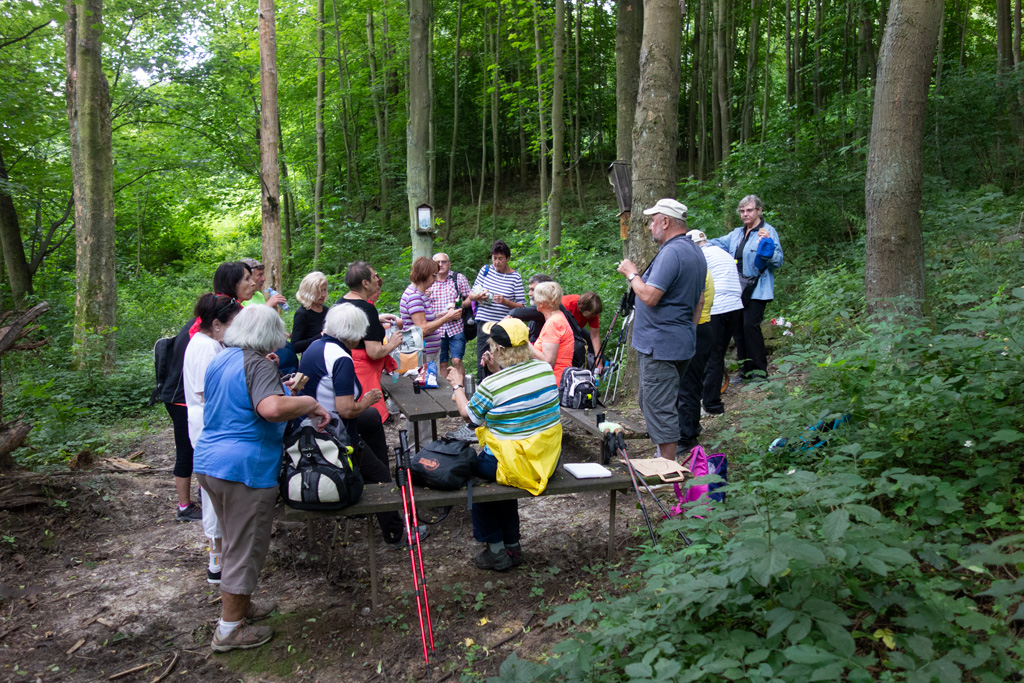 občerstvení-u-studánky