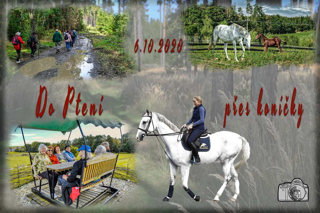 Do-Ptení-přes-koníčky_6.10.2020