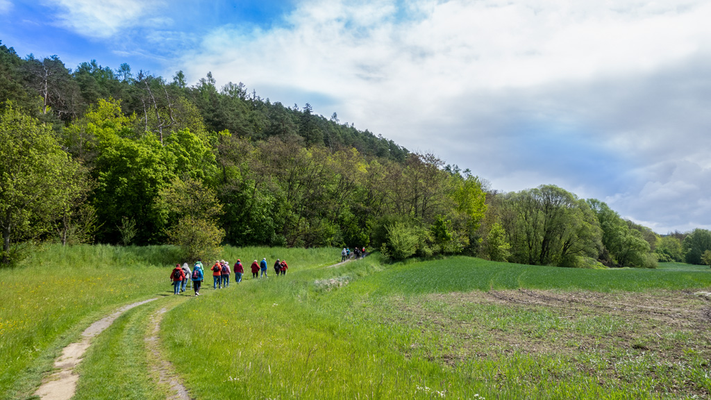Sluníčko-vítězilo-nad-deštěm