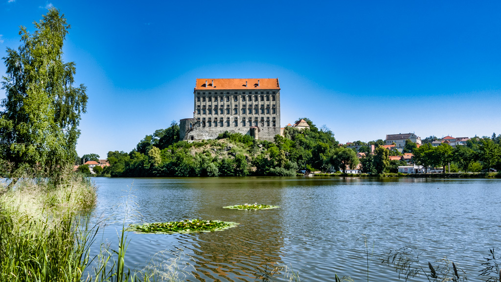 Leknínová-ozdoba_6.7.2021