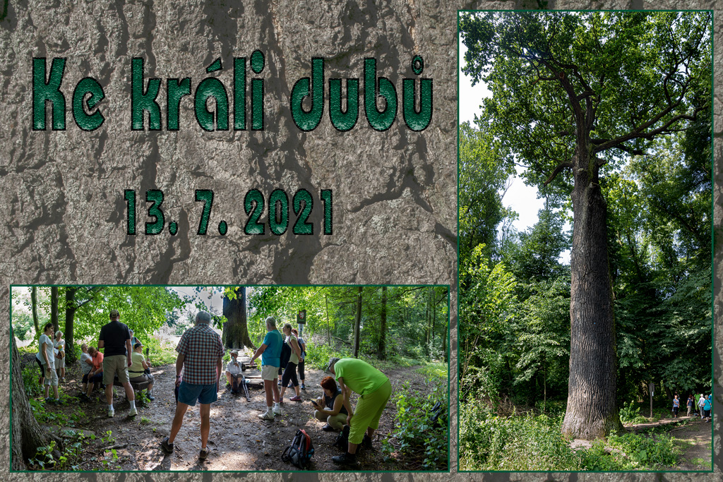 Ke-králi-dubů-13.7.2021