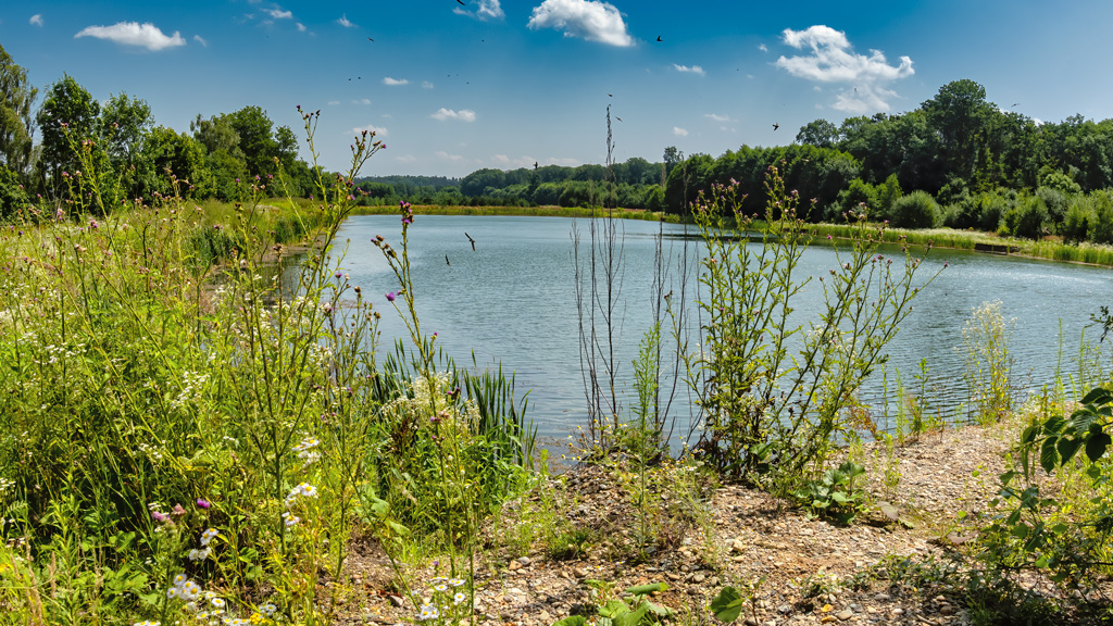 Jezero-nádrž-2_13.7.2021