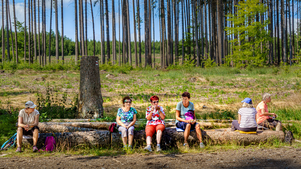 Zasloužený-odpočinek-1_14-6-22