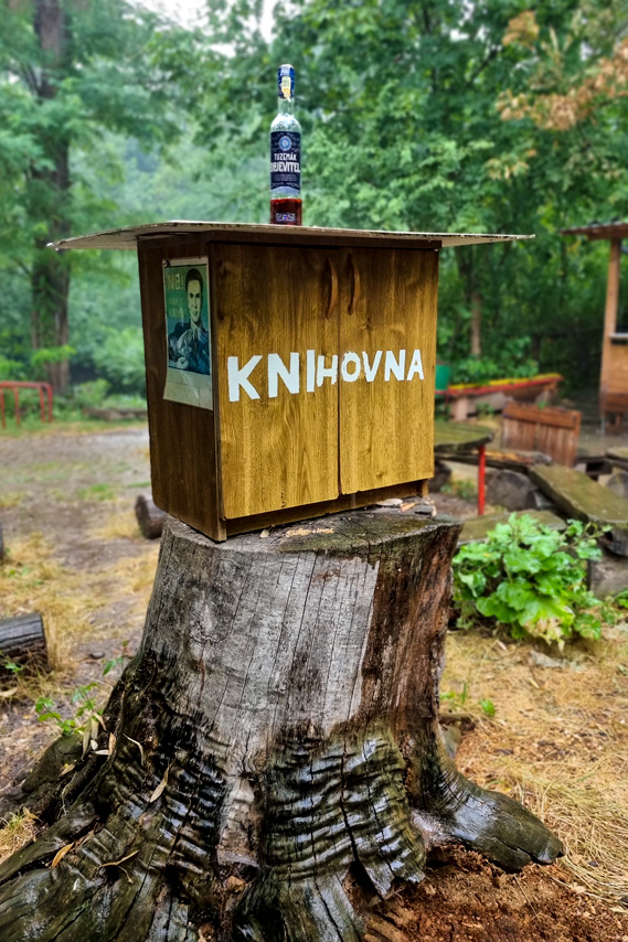 Někteří-navštívili-i-knihovnu.