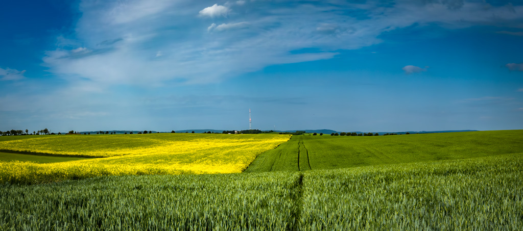 Cestou-k-jezírkům-2