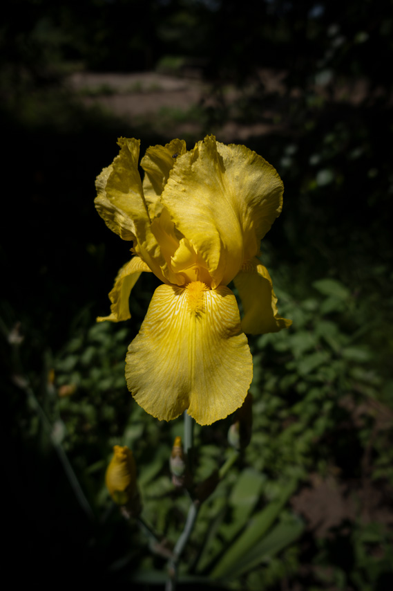 Krása-okolo-nás-7
