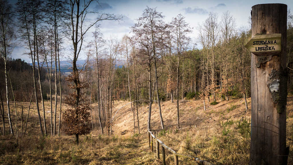 Cestou-2-studánka