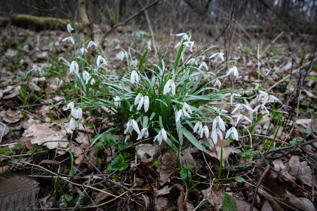 Příroda-okolo-nás-3_5.3.2024