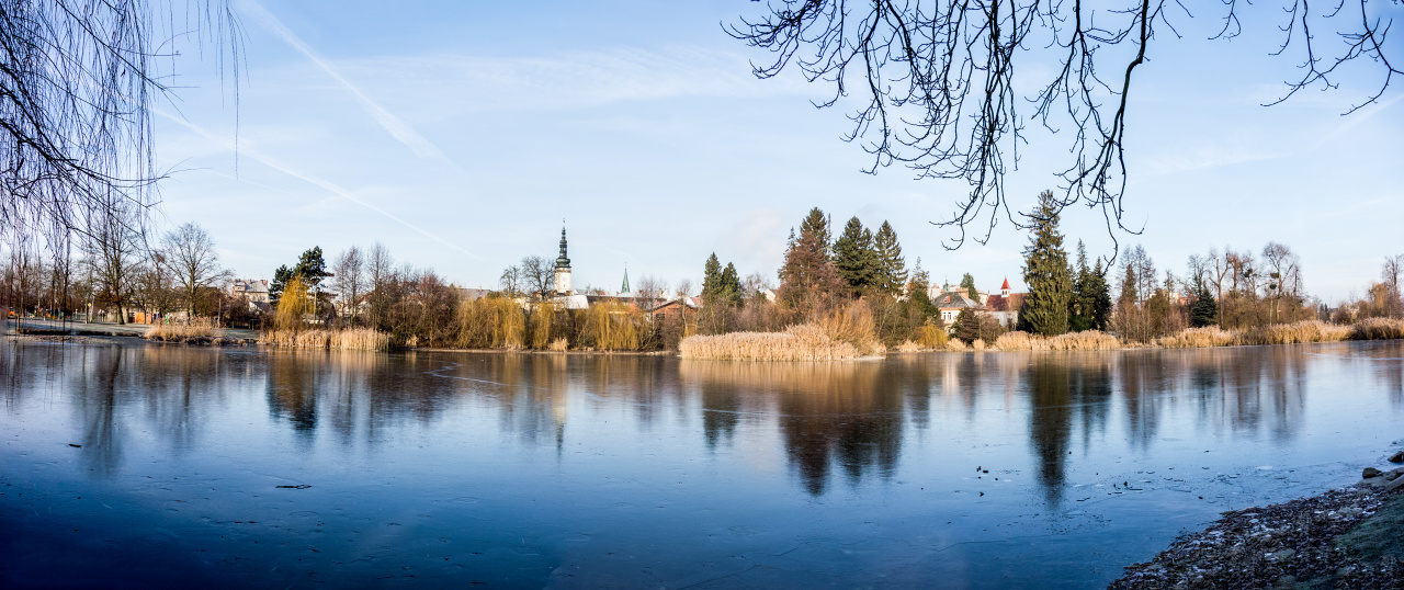 pohled_od gymnasia_k_radnici
