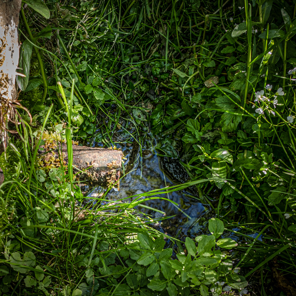 Cestou-ze-Seče-studánka