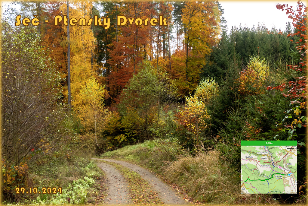 Seč---Ptenský-dvorek-29.10.2024.